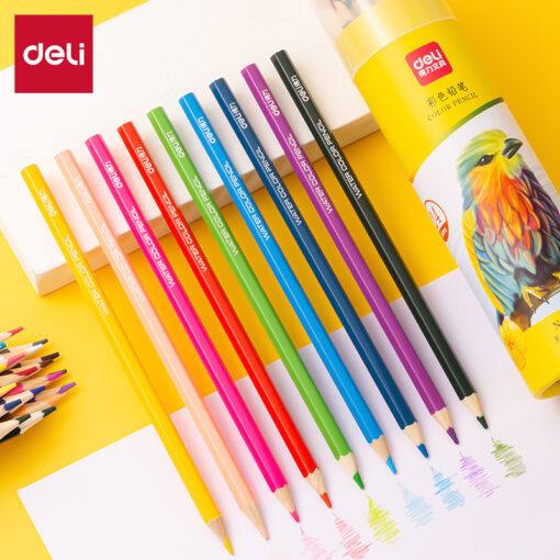 Bút chì màu Deli 7070 - Lõi chì mềm màu sắc sinh động dễ tô